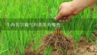 牛肉名字霸气的菜名有哪些？