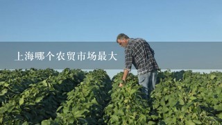 上海哪个农贸市场最大