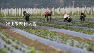 减肥餐吃什么酱