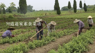 50道道家素食菜谱