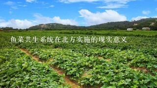 鱼菜共生系统在北方实施的现实意义