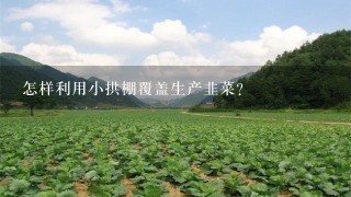 怎样利用小拱棚覆盖生产韭菜？