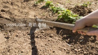 vegetables 英语造句