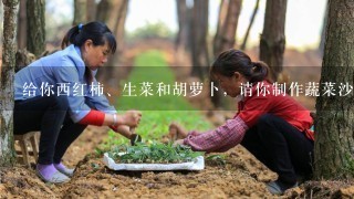 给你西红柿、生菜和胡萝卜，请你制作蔬菜沙拉，英语