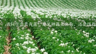 请问什么是青菜？是某种蔬菜名称，还是泛指所有的绿叶蔬菜？谢谢~