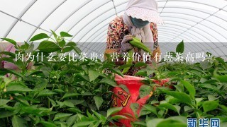 肉为什么要比菜贵？营养价值有蔬菜高吗？