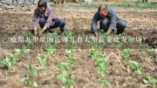 成都9里堤附近哪儿有大型蔬菜批发市场？