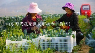 山东寿光蔬菜批发市场今日价格？