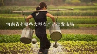 河南省有哪些大型农产品批发市场