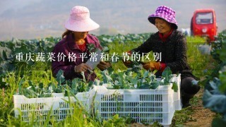 重庆蔬菜价格平常和春节的区别
