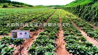 英语版的蔬菜谜语带翻译中文的