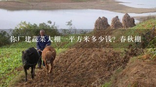 你厂建蔬菜大棚1平方米多少钱？春秋棚