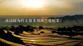 烹饪时为什么很多用西兰花配菜？