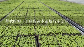 帮我给测1下绿源苗木基地名字怎样