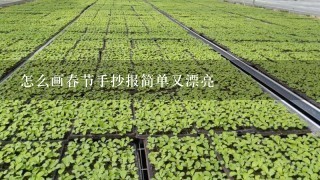 怎么画春节手抄报简单又漂亮