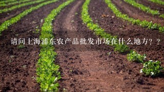 请问上海浦东农产品批发市场在什么地方？？