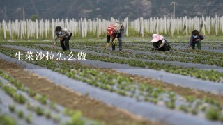 生菜沙拉怎么做