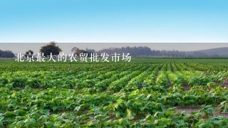 北京最大的农贸批发市场