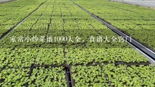 家常小炒菜谱1000大全，食谱大全窍门