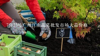 7月23号广州江南蔬菜批发市场大蒜价格