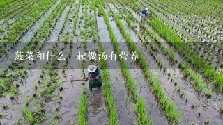 菠菜和什么1起做汤有营养