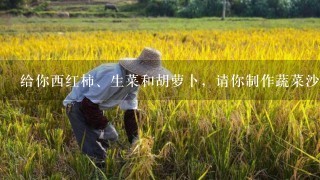 给你西红柿、生菜和胡萝卜，请你制作蔬菜沙拉，英语