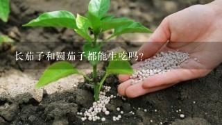 长茄子和圆茄子都能生吃吗？