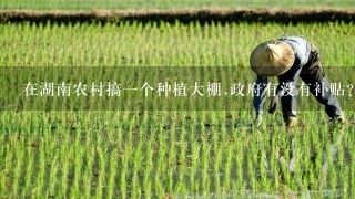 在湖南农村搞1个种植大棚,政府有没有补贴?