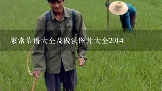 家常菜谱大全及做法图片大全2014