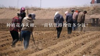 种植花卉大棚，1亩估计得投资多少钱？