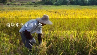 斋饭素食菜谱大全