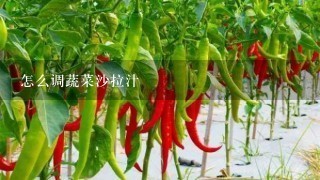 怎么调蔬菜沙拉汁