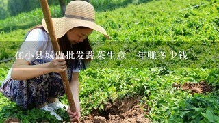 在小县城做批发蔬菜生意1年赚多少钱