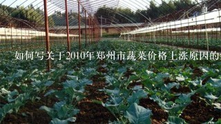 如何写关于2010年郑州市蔬菜价格上涨原因的经济学论文