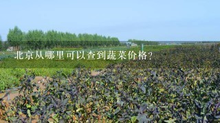 北京从哪里可以查到蔬菜价格？