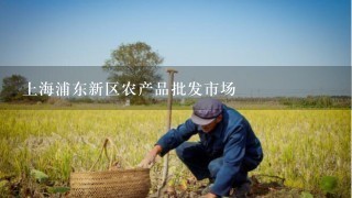 上海浦东新区农产品批发市场