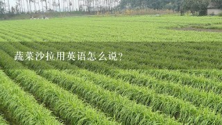 蔬菜沙拉用英语怎么说？