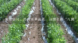 农业公司，经营水果蔬菜，品牌名称“8佛”，无公害、绿色有机食品，求广告语，如：怕上火喝加多宝