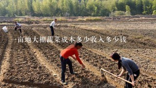 1亩地大棚蔬菜成本多少收入多少钱