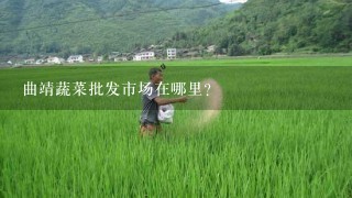 曲靖蔬菜批发市场在哪里？