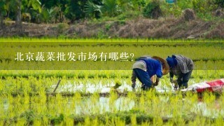 北京蔬菜批发市场有哪些？