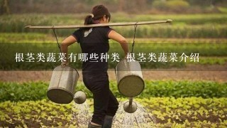 根茎类蔬菜有哪些种类 根茎类蔬菜介绍