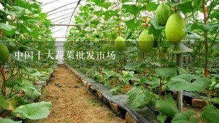 中国十大蔬菜批发市场