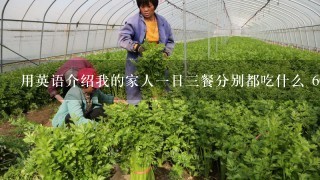 用英语介绍我的家人1日3餐分别都吃什么 60词