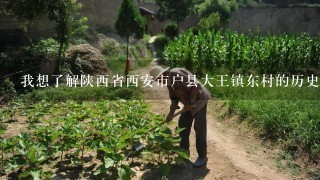 我想了解陕西省西安市户县大王镇东村的历史