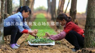 靖江市蔬菜批发市场在哪里？