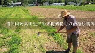 请问国药集团生产的齐梅奶粉可以治糖尿病吗？