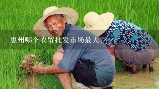 惠州哪个农贸批发市场最大?