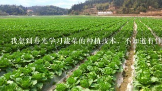 我想到寿光学习蔬菜的种植技术，不知道有什么学校可以去学？