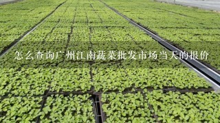 怎么查询广州江南蔬菜批发市场当天的报价
